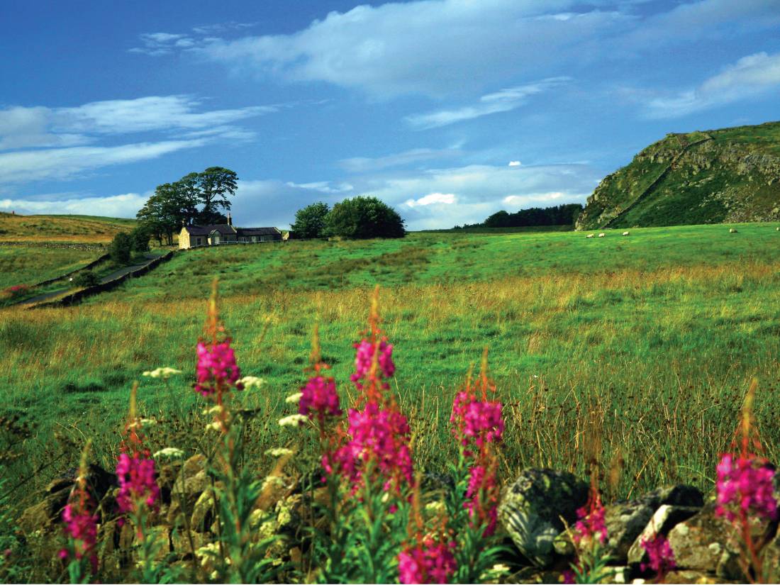 View from Saughy Rigg