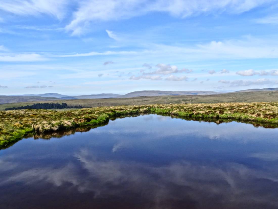 Moorland reflections in a tarn |  <i>John Millen</i>