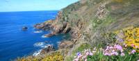 Spring on the Guernsey coastline | John Millen