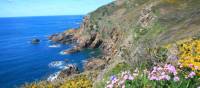 Spring on the Guernsey coastline | John Millen