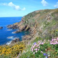 Spring on the Guernsey coastline | John Millen