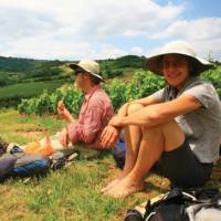 Picnic near Auxey