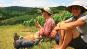 Auxey Burgundy region France,John Millen Picnic near Auxey