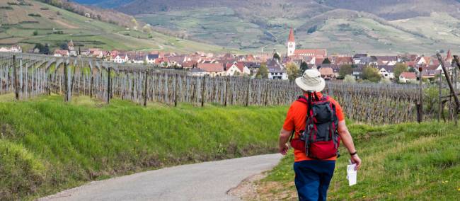 Hiking between the vineyards of Alsace |  <i>Charles Hawes</i>