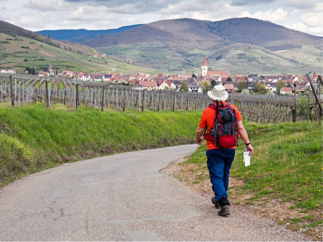 Hiking between the vineyards of Alsace |  <i>Charles Hawes</i>