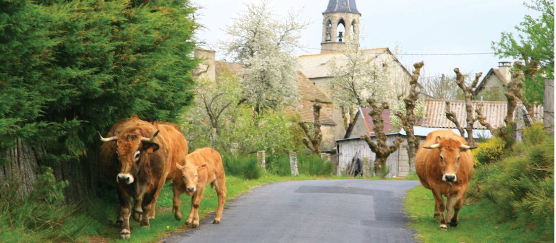 Rush hour in Le Chaze