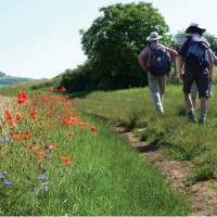 Walking near Rully