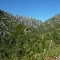 Views across the Tavignano Valley | David Holmes