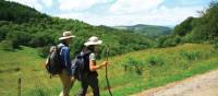 Walking towards Lamastre