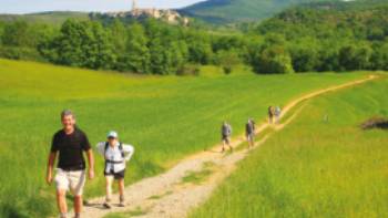 Walking Tarn France,John Millen Walking Tarn France