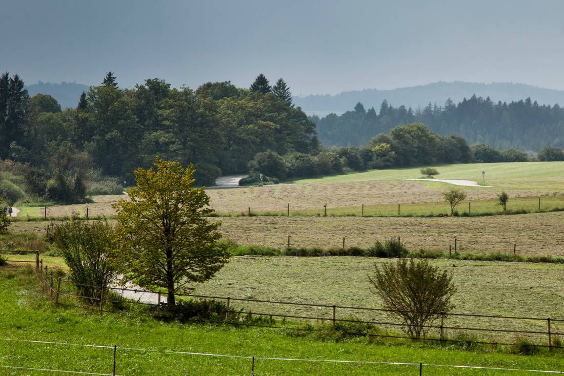 Walking through fields in Bavaria |  <i>Will Copestake</i>