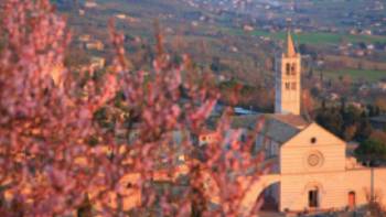 Assisi Umbria region Italy,John Millen Assisi through the blossom
