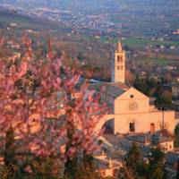 Assisi through the blossom