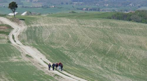 Walking on the Crete Senesi