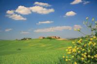 Crete Senesi