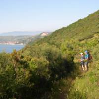 Looking out to sea on the Punta Licosa Walk | Peter Hoogstaden