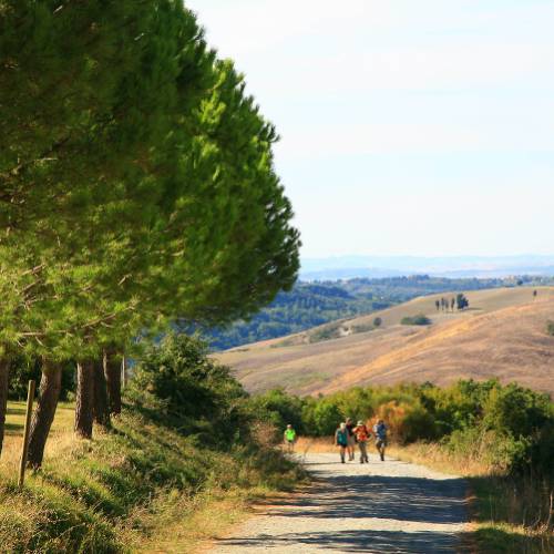 Tuscany Experience Tours