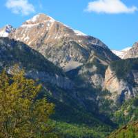 Pyrenees