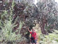 Prickly vegetation along the coast path |  <i>John Millen</i>