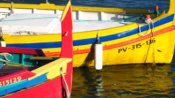 Collioure Vermillion Coast,John Millen Boats of colour at Collioure