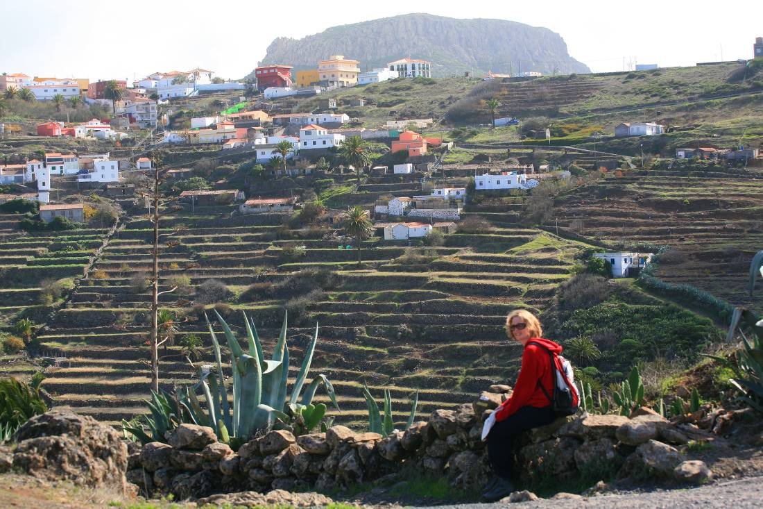 Amongst the terraces, El Cercado