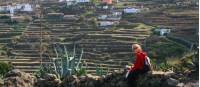 Amongst the terraces, El Cercado