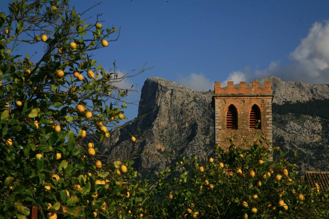 Looking towards Finca d'Ofre from Soller |  <i>John Millen</i>