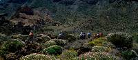 Walking in Mount Teide National Park