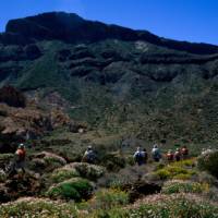 Walking in Mount Teide National Park