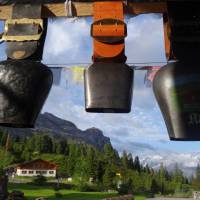 Cowbells in the Swiss Alps | Go hiking in the Alps