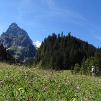 Stunning views across alpine meadows | Jon Millen