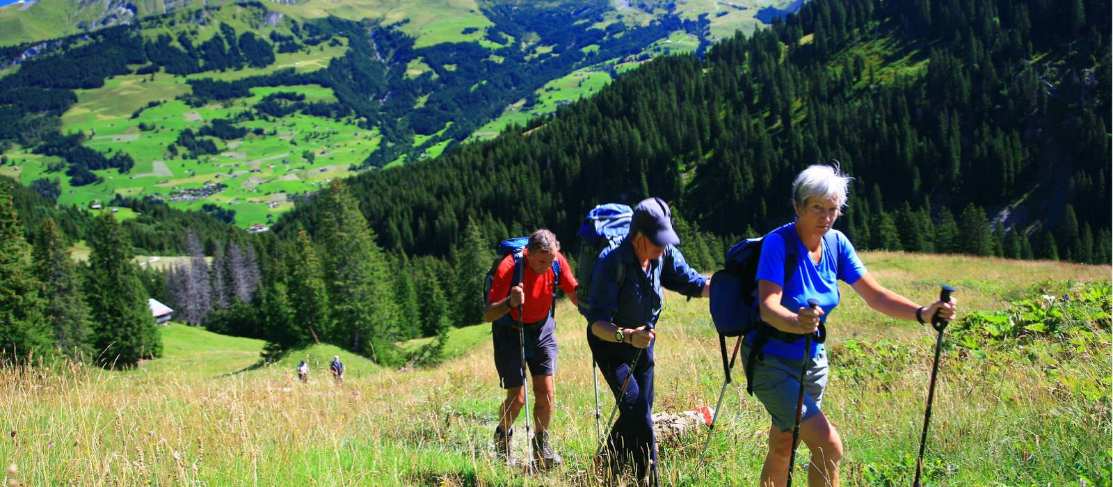 On the way to the Trutlisberg Pass on the Alpine Pass Route