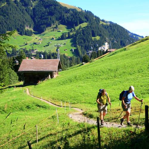 self guided bike tours switzerland