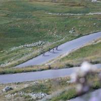 Quiet roads on the Tour de France Cycle