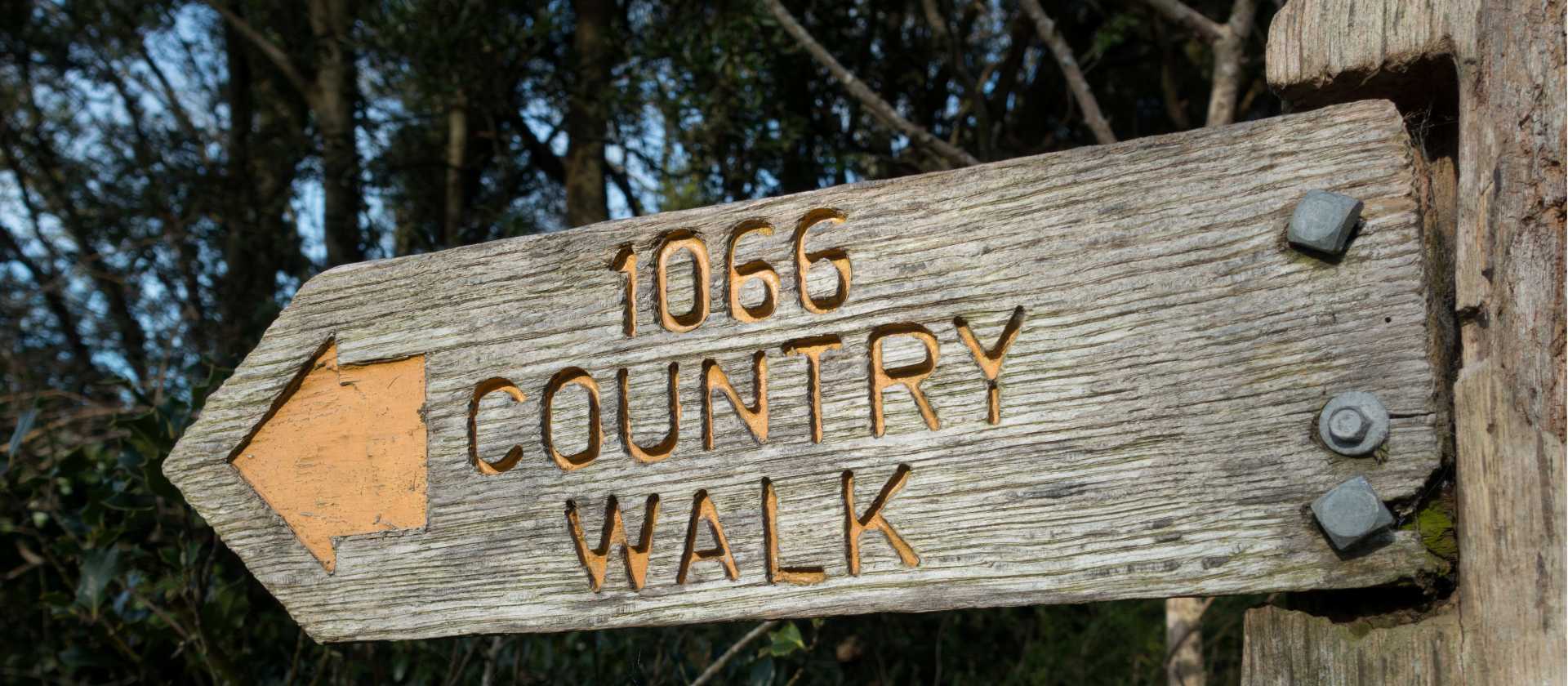 1066 Trail Waymark | Tony Skerl