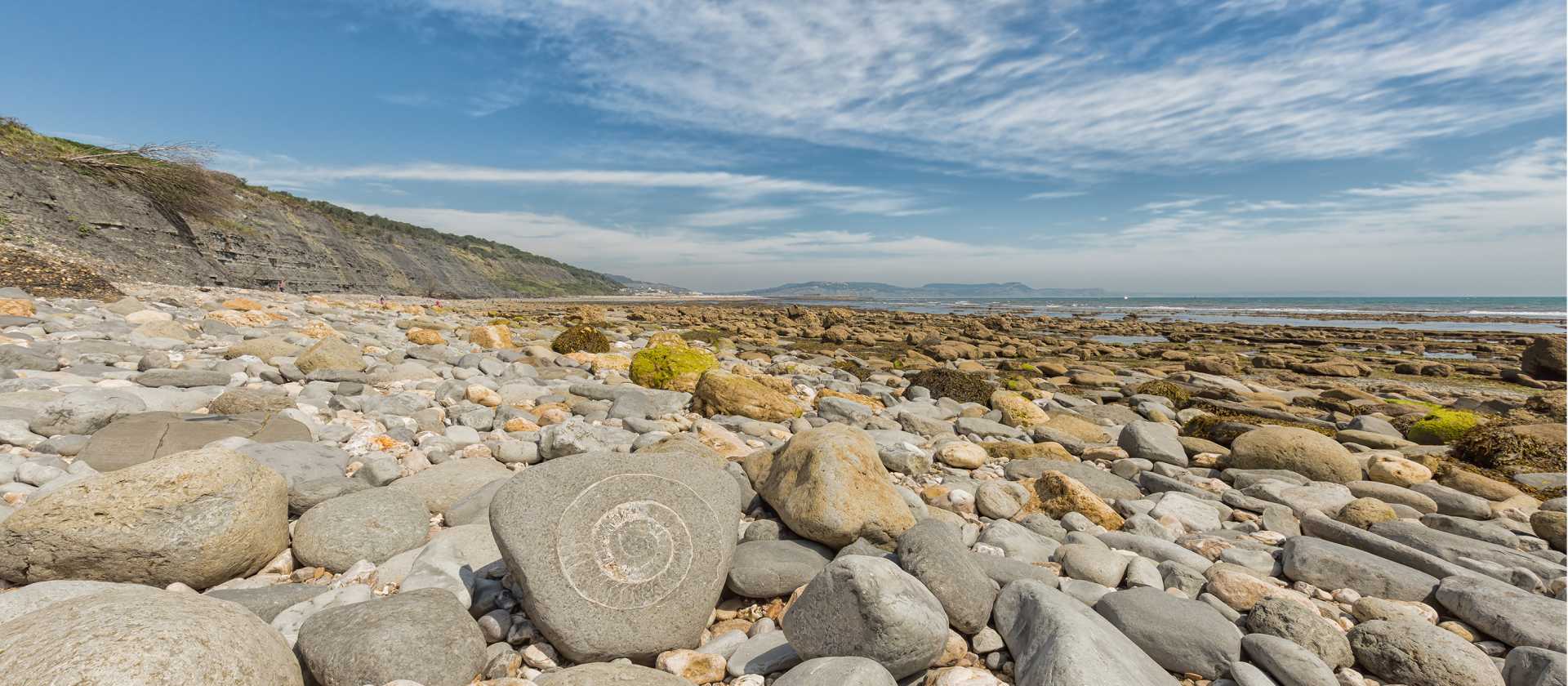 Ammonite fossil on a Devon beach near Lyme Regis | Mark Godden