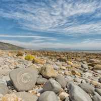 Ammonite fossil on a Devon beach near Lyme Regis | Mark Godden