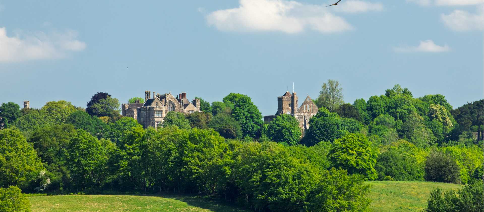 Battle Abbey and Powdermill Wood on the 1066 Trail | SuxxesPhoto