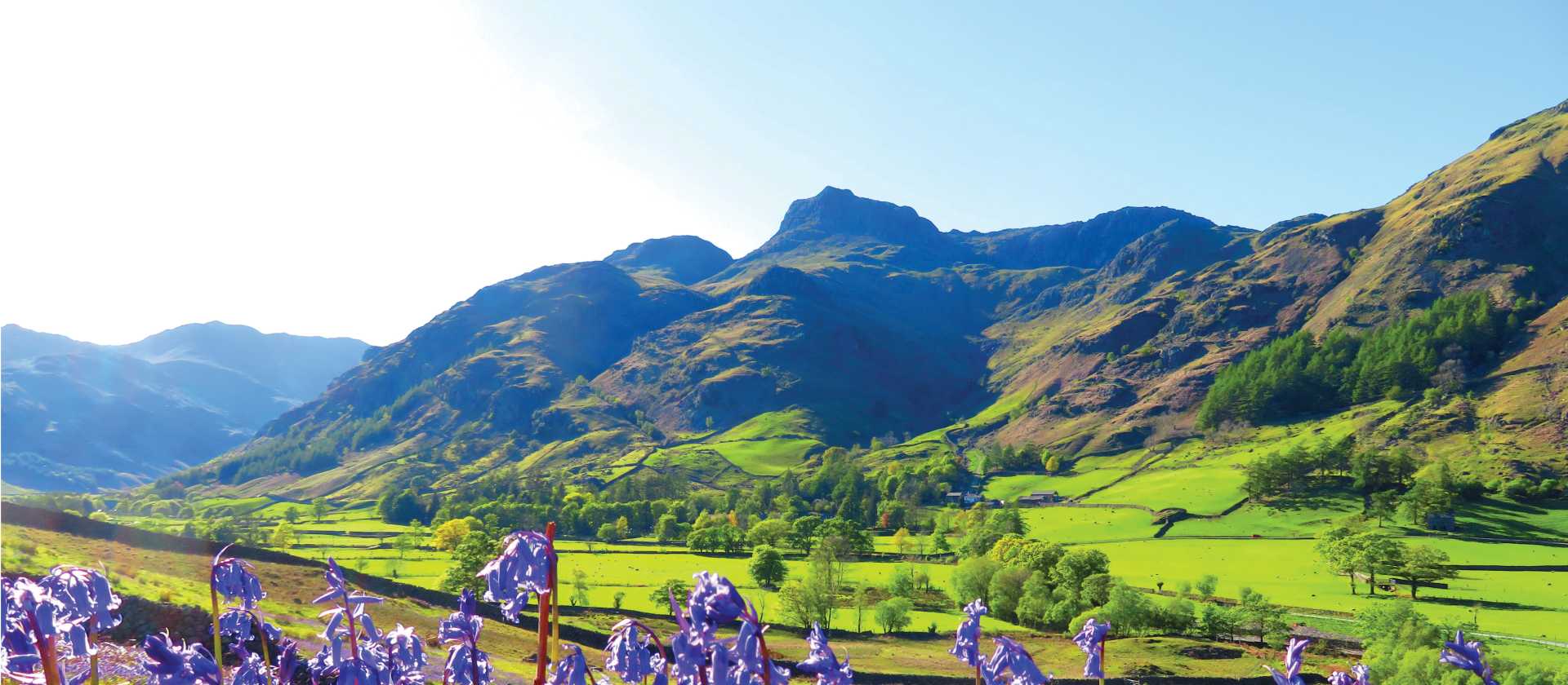 Bluebells and the pikes, Great Langdale | John Millen