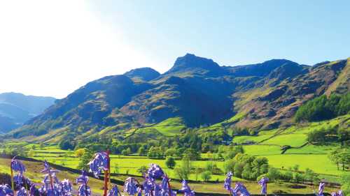 Bluebells and the pikes, Great Langdale | John Millen