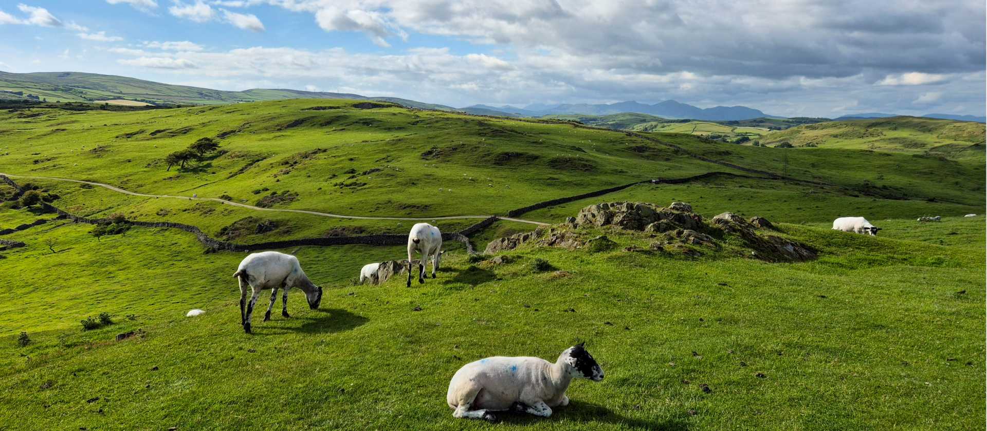 Looking towards the Cumbria Way from Barrow Monument | Phil Peacock