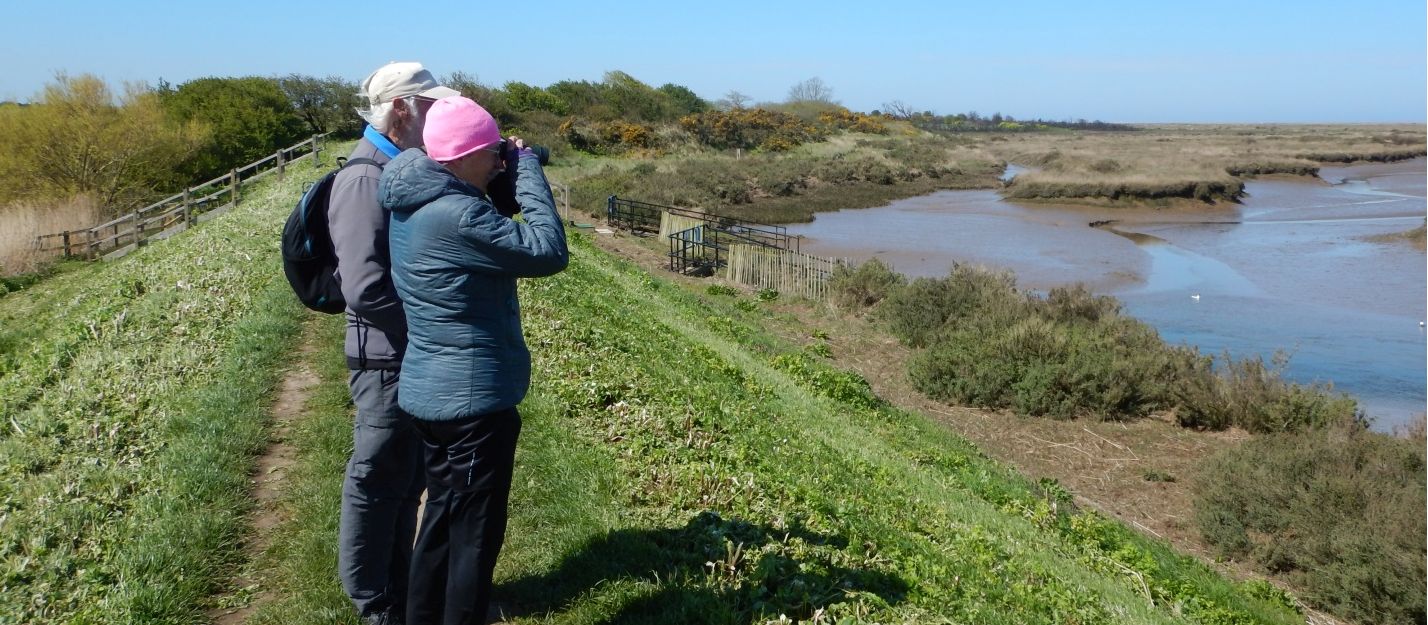 Norfolk Coast Path walkers pause to view a tidal estuary with binoculars | Peter Wells