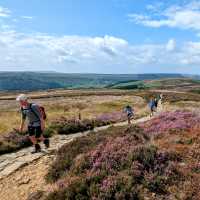On the North York Moors - Coast to Coast | Jon Millen