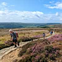 On the North York Moors - Coast to Coast | Jon Millen