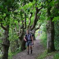 Woodland walking near Barafundle | John Millen