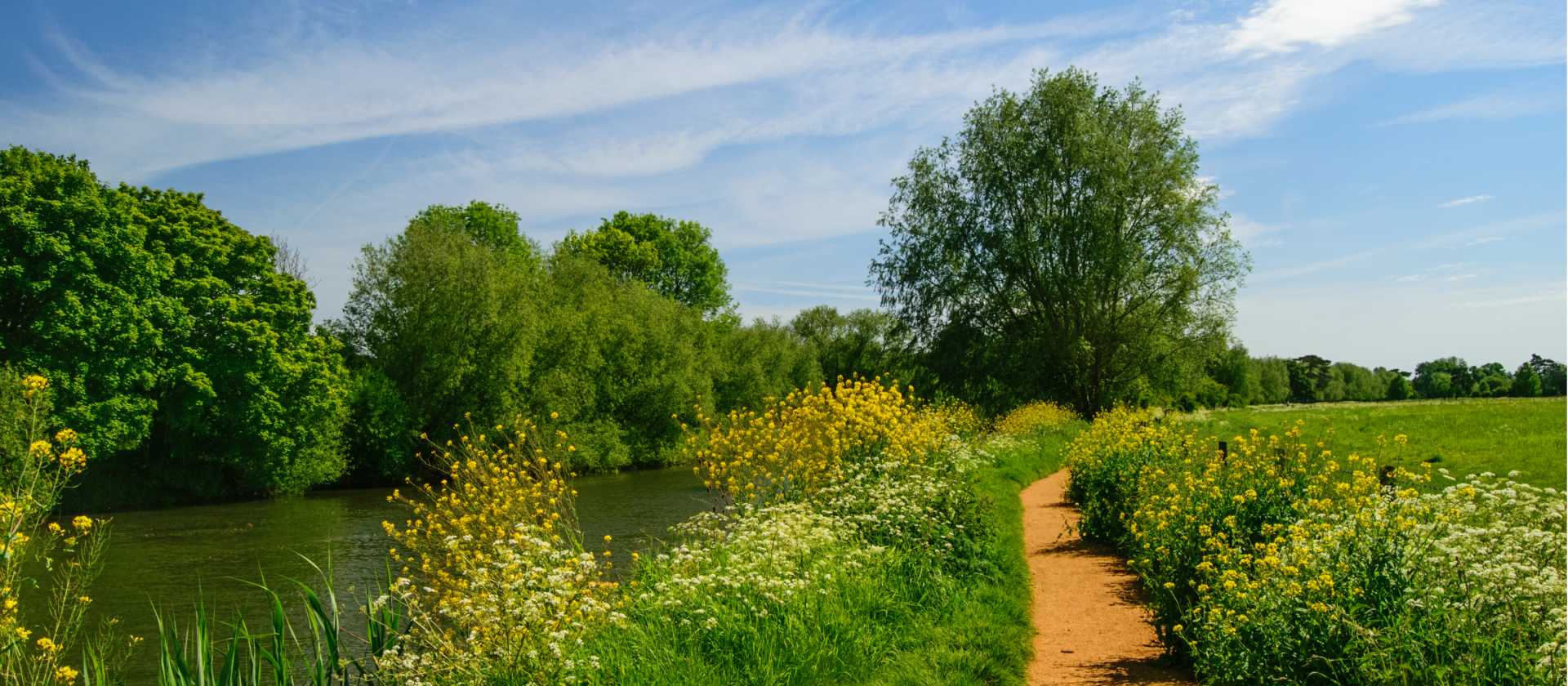 Riverside Trails on the Thames Path | Shutterstock