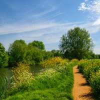 Riverside Trails on the Thames Path | Shutterstock