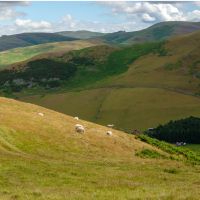 The Cheviiot Hills | Martin Strasmore