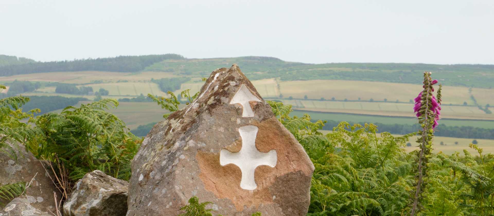 Mitre Stone, St. Cuthbert's Way | Martin Strasmore
