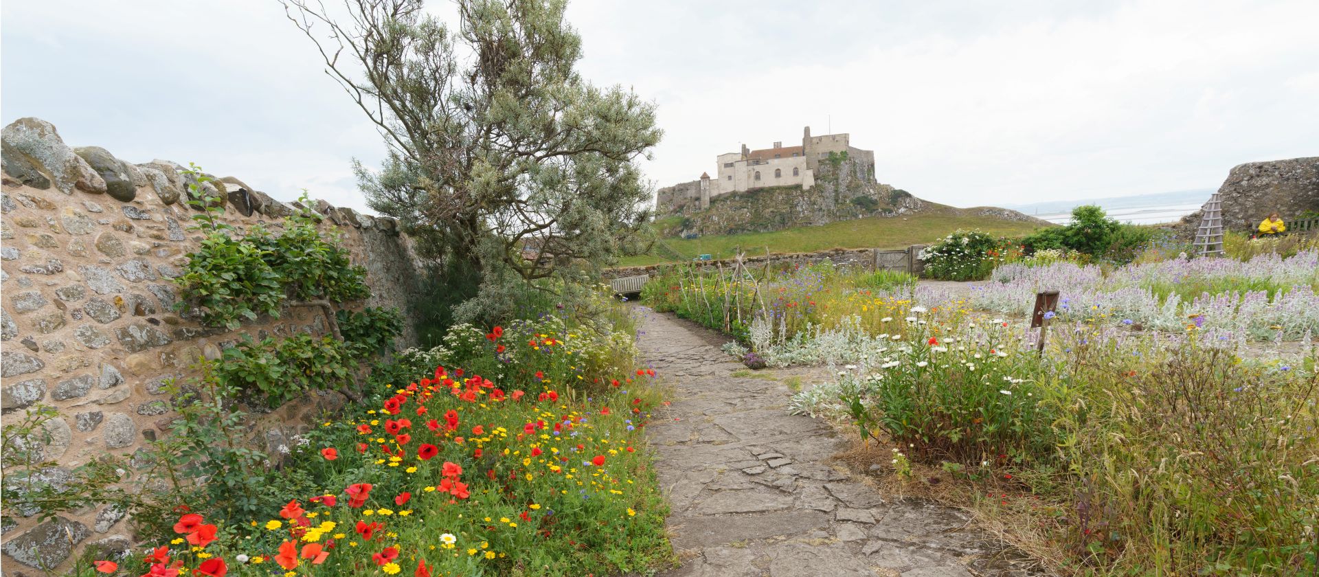 Gertrude Jeckyl Garden, Lindisfarne | Martin Strasmore